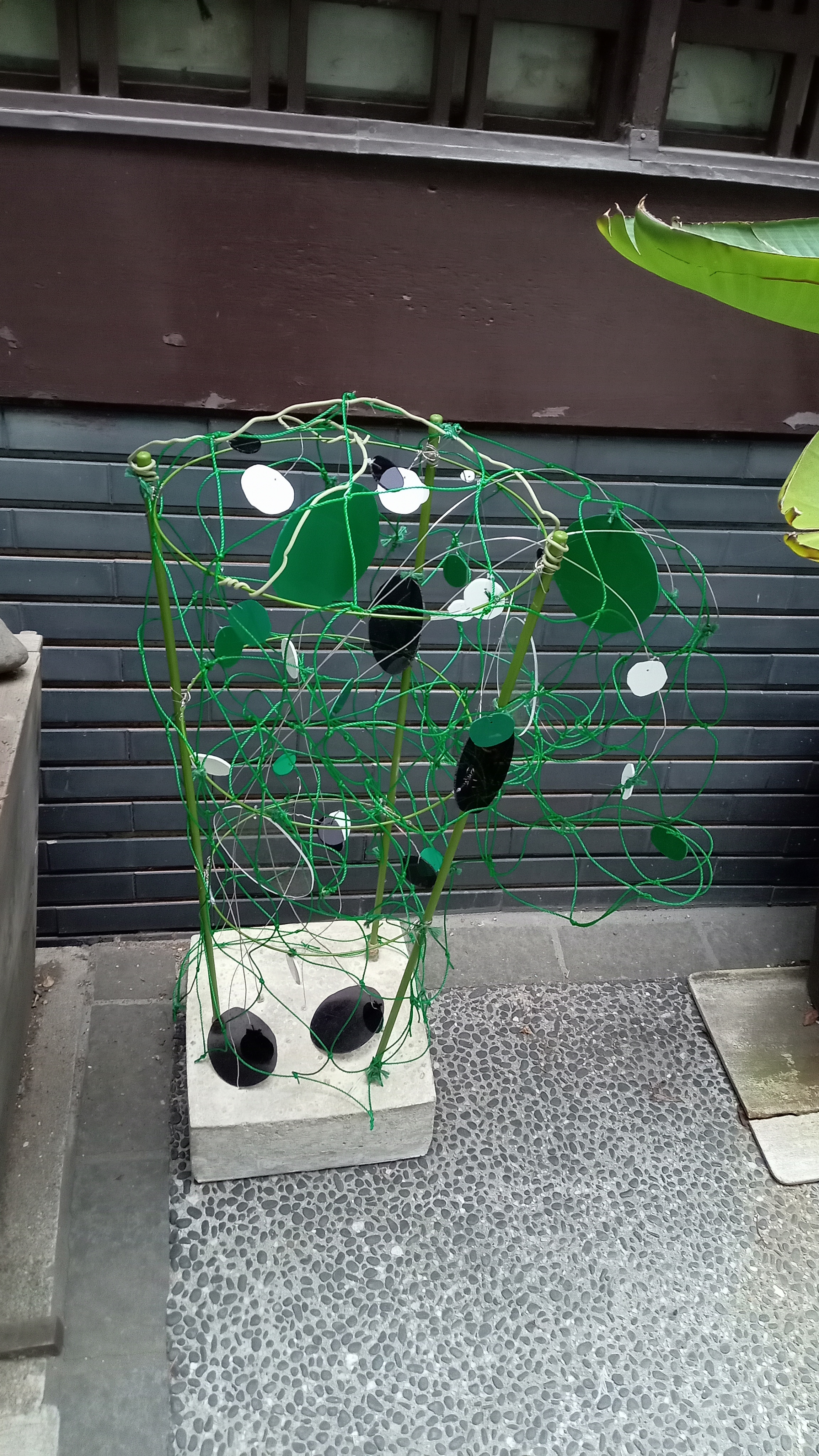 戸田祥子《跳ね返る、目と芽と》