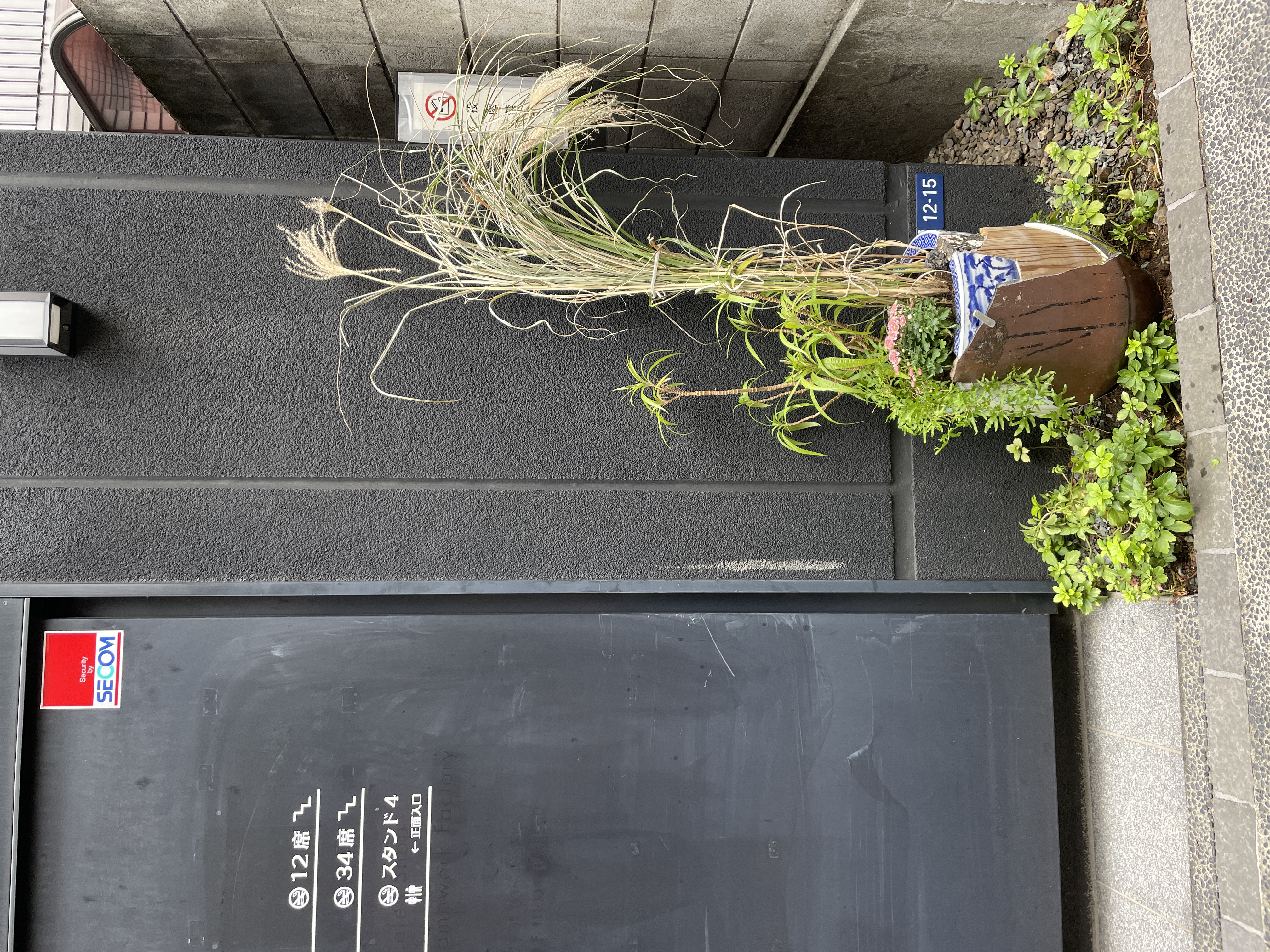 ミルク倉庫ザココナッツ《萬葉草奔 野不為馴（Plantation I)》