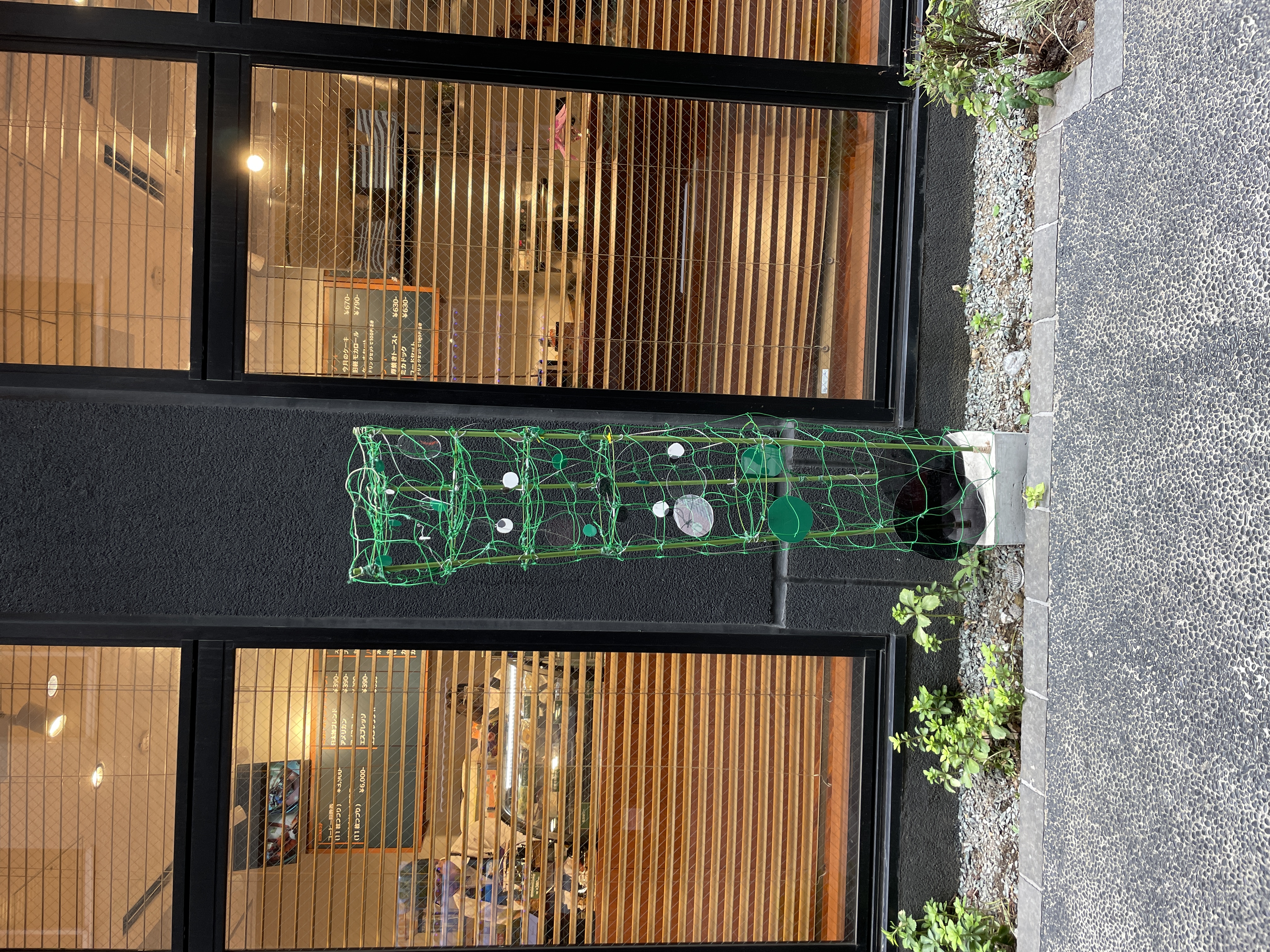 戸田祥子《跳ね返る、目と芽と》