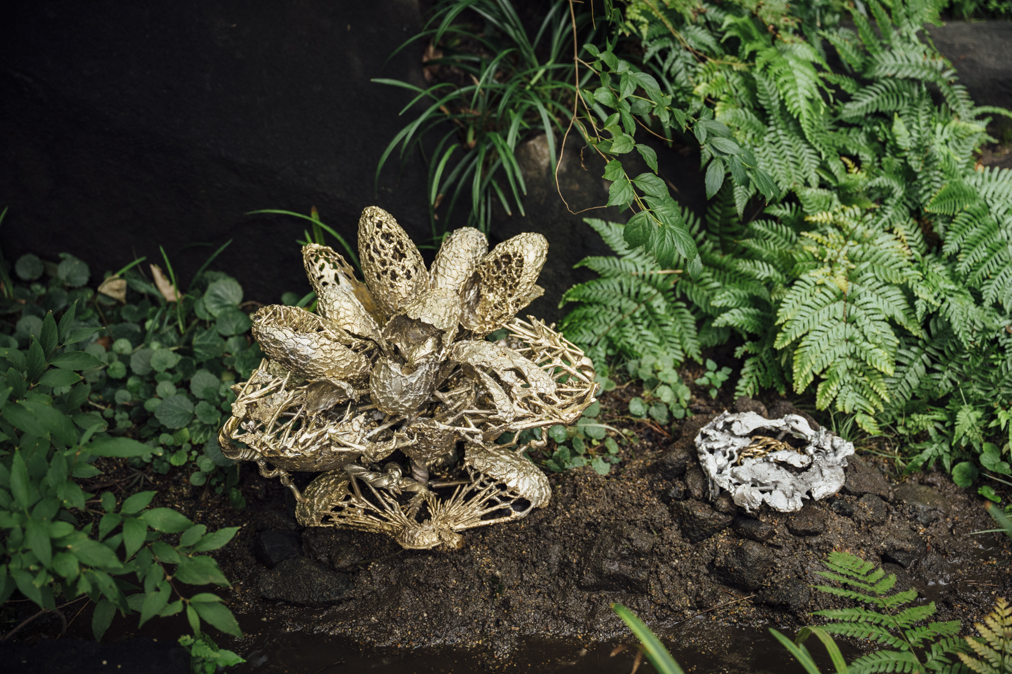 寺内木香 《もしかしての石》