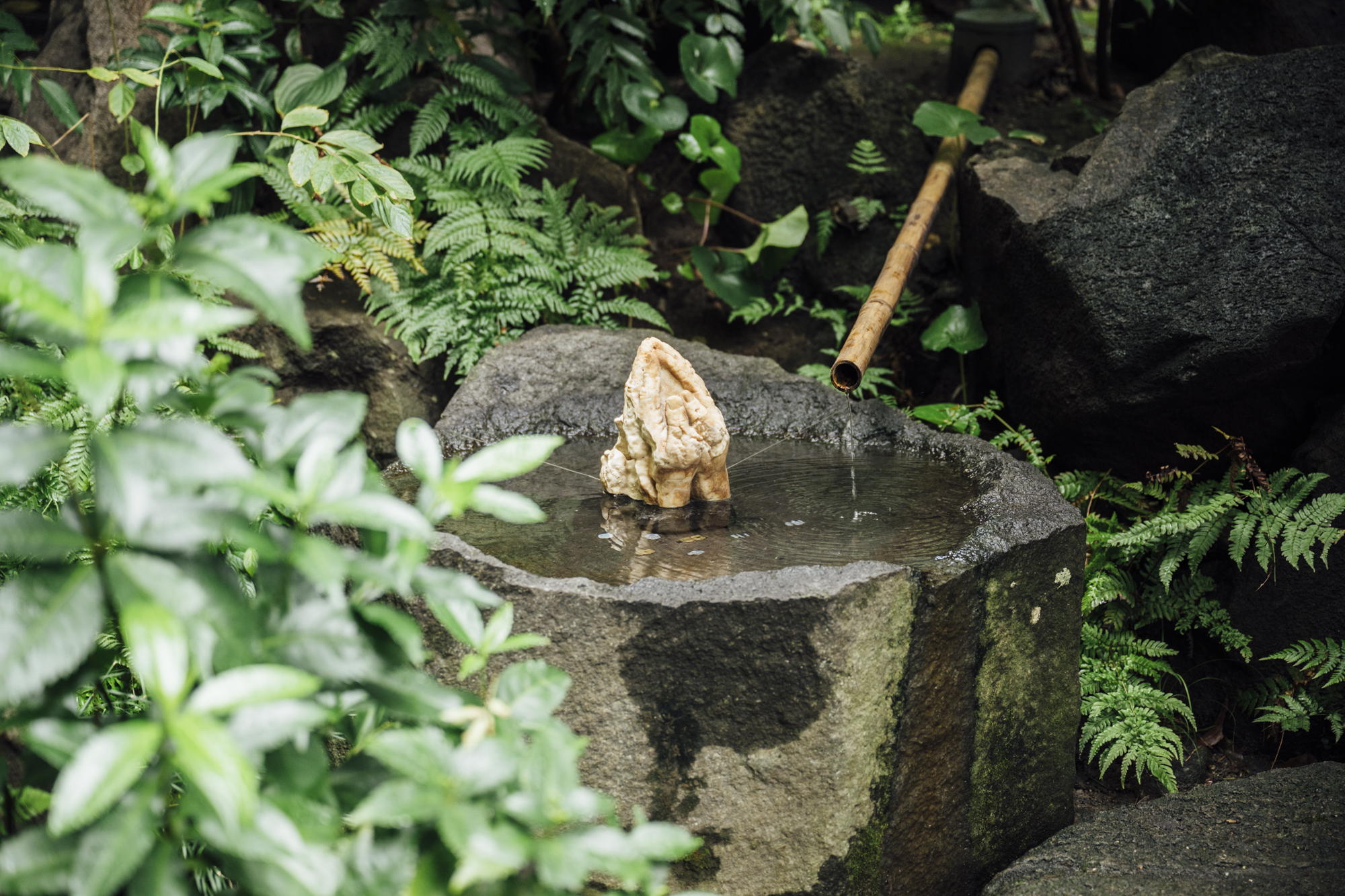 森 靖《Power chord - Praying hands》