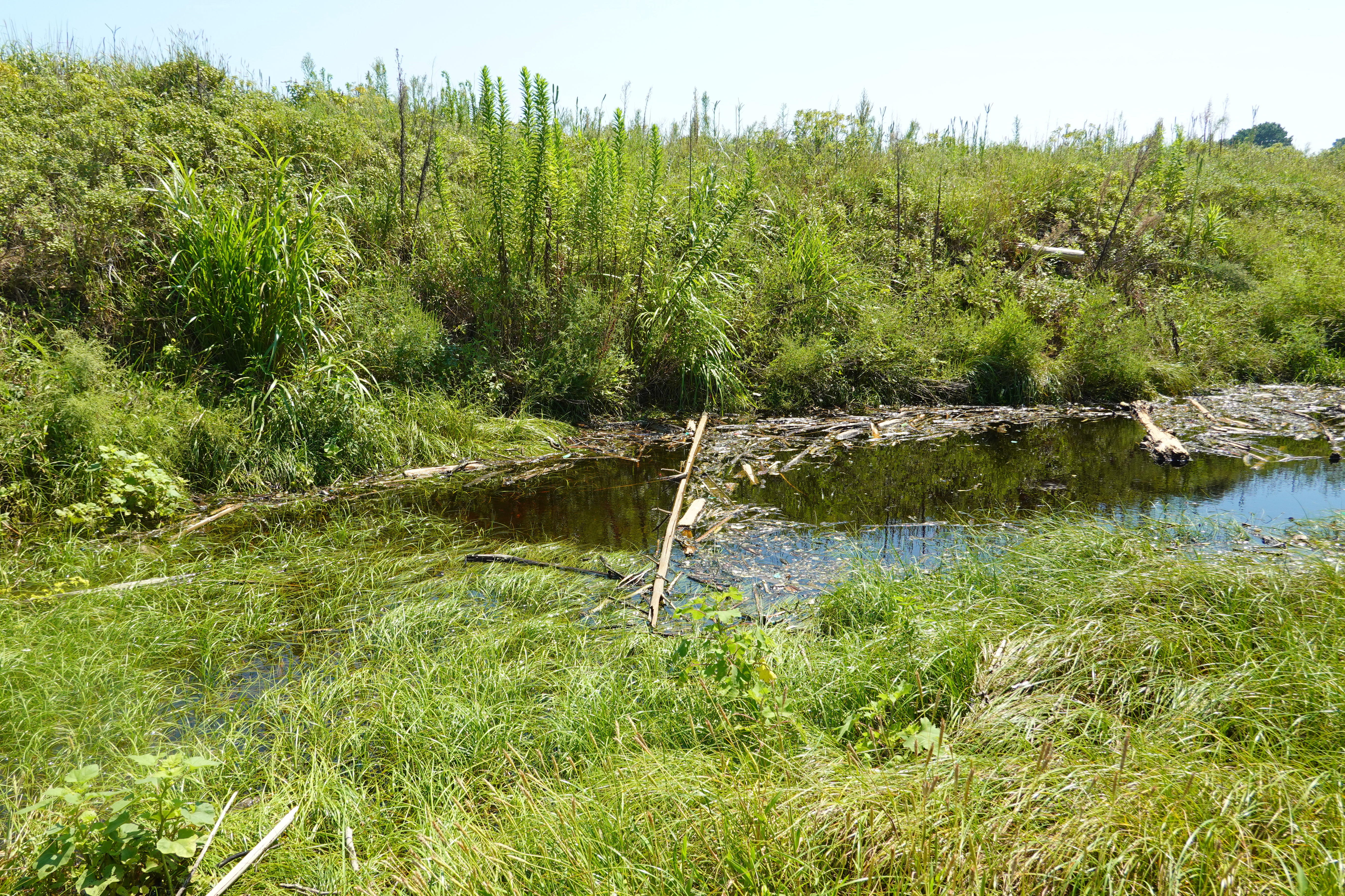 この池物語が詰まってます！