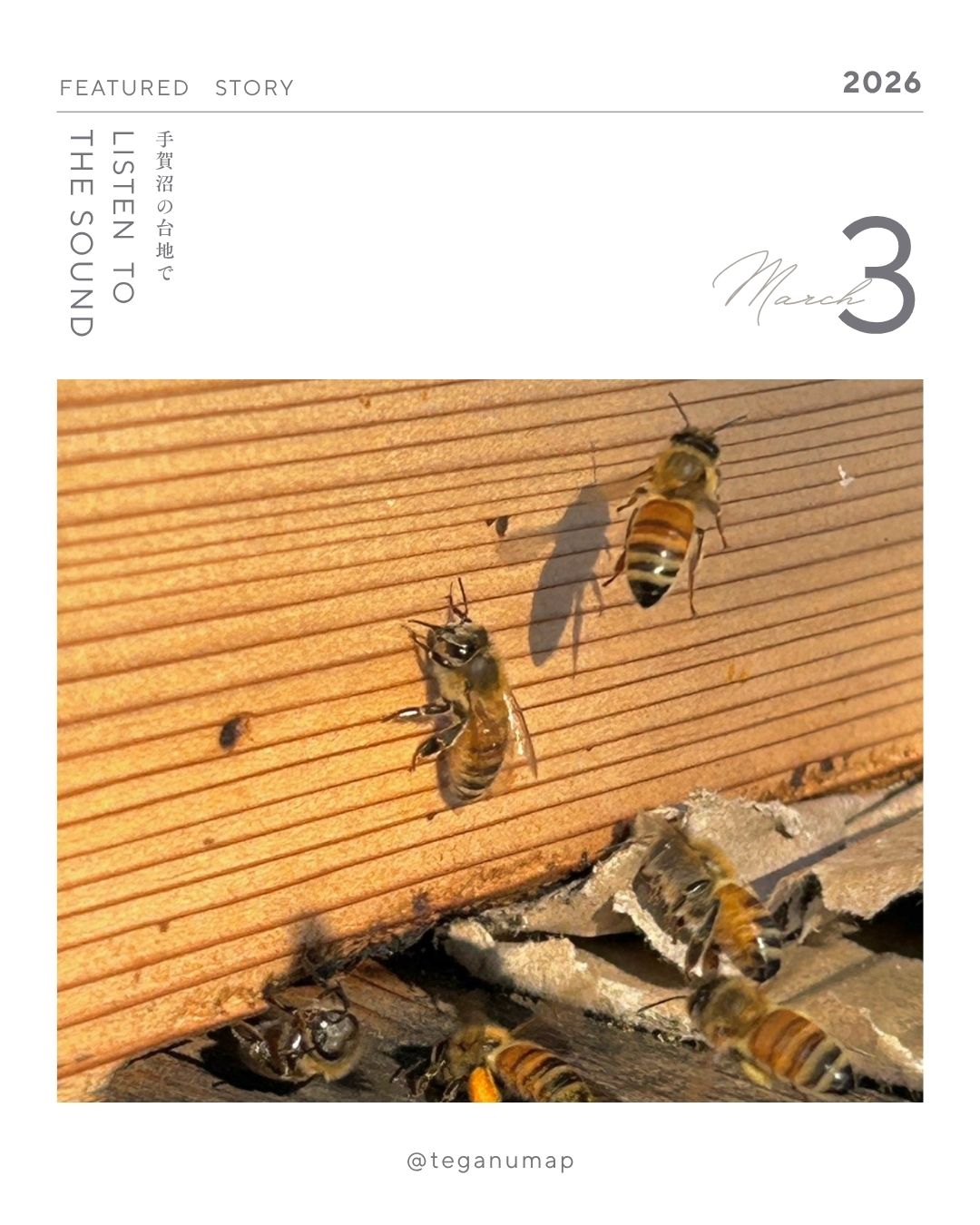 【2603】みつばちのささやきと緑に包まれて深呼吸―「白樺養蜂園」「Hachi Base」