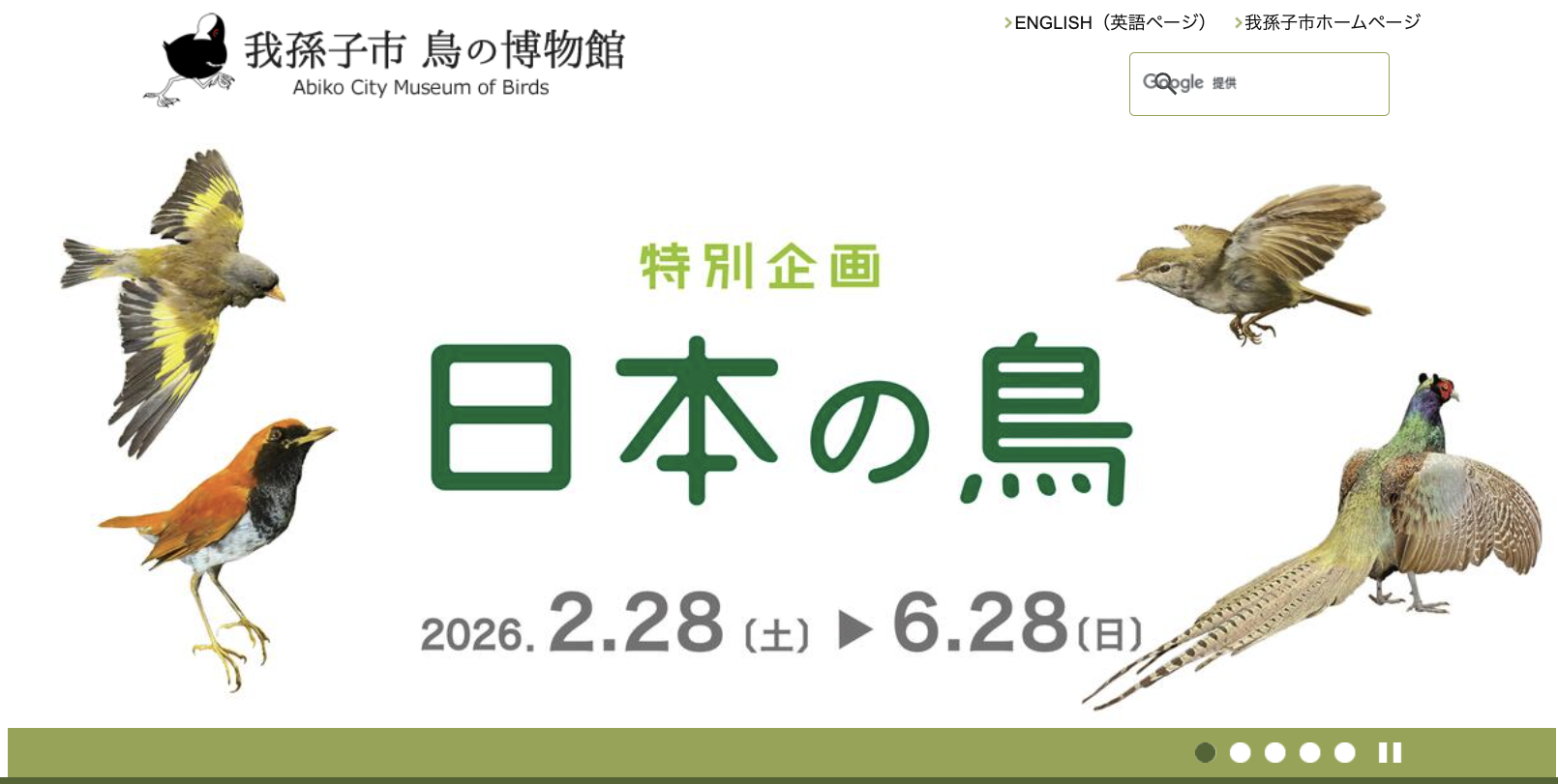 4/11「てがたん・春の竹を観察しよう！」＆特別展示「日本の鳥」