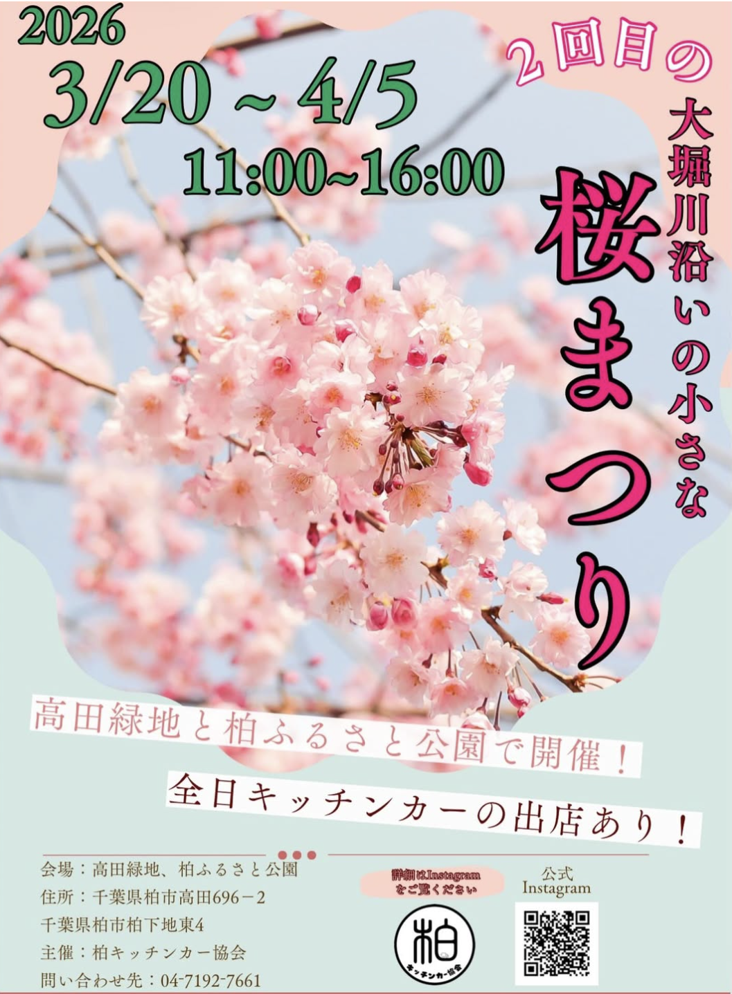 3/20-4/5「大堀川沿いの小さな桜まつり」