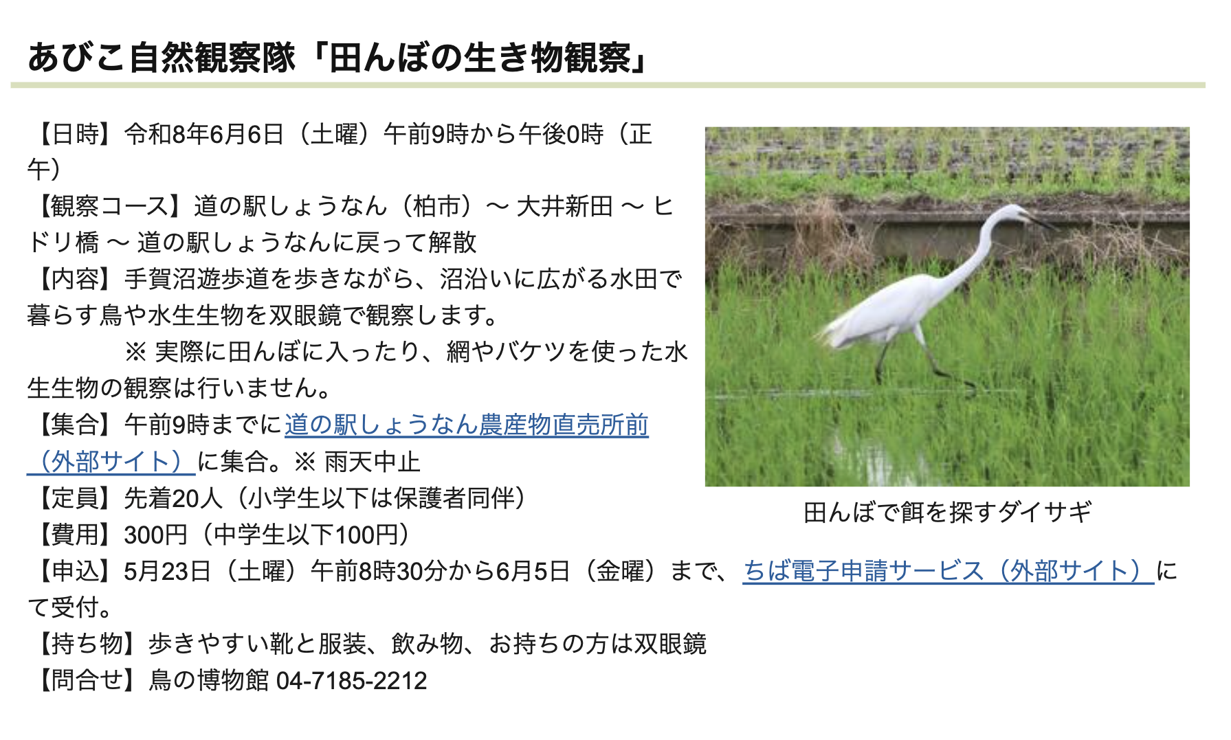 6/6 とりはく企画「田んぼの生きもの観察」