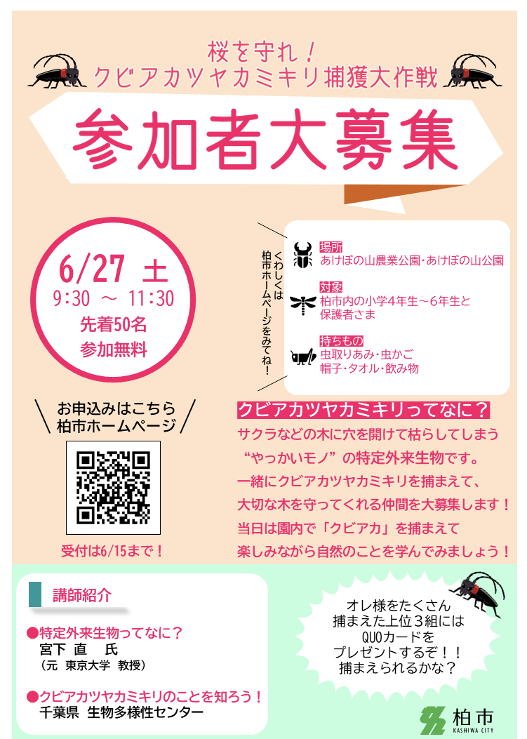 6/27「桜を守れ!!クビアカツヤカミキリ捕獲大作戦!」