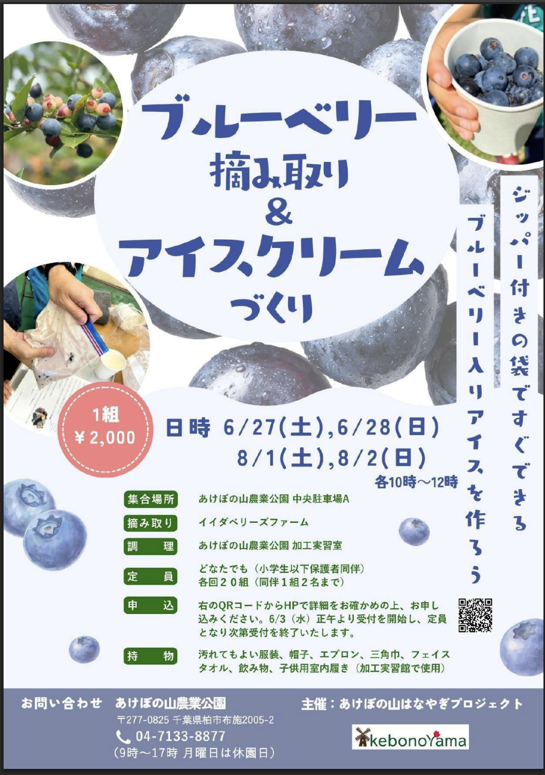 6/27-28「ブルーベリー摘み体験&アイスクリームづくり」