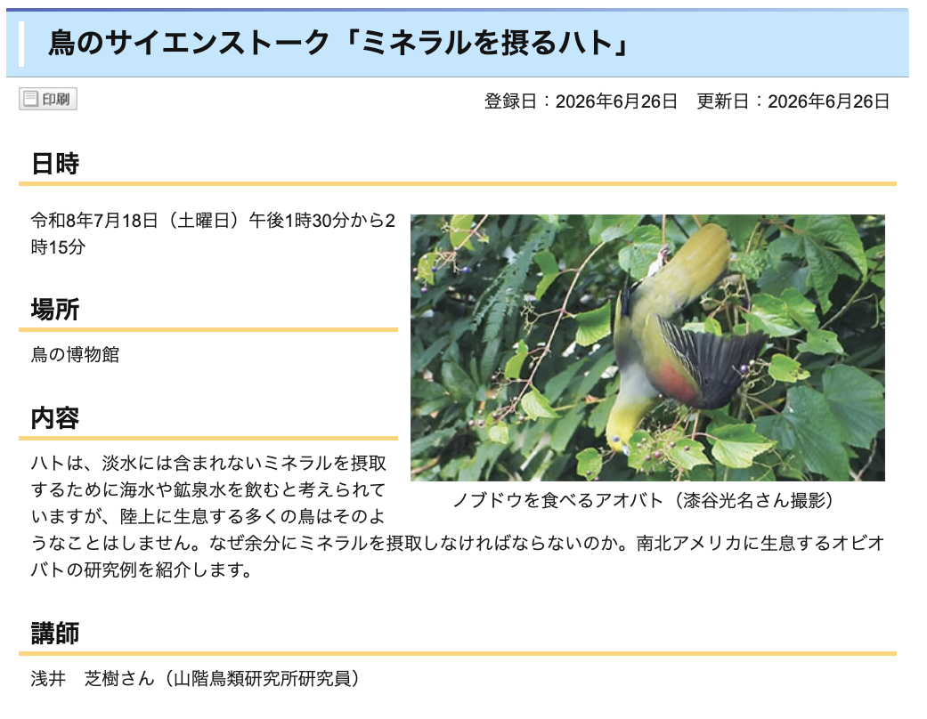 7/18 鳥のサイエンストーク「ミネラルを摂るハト」