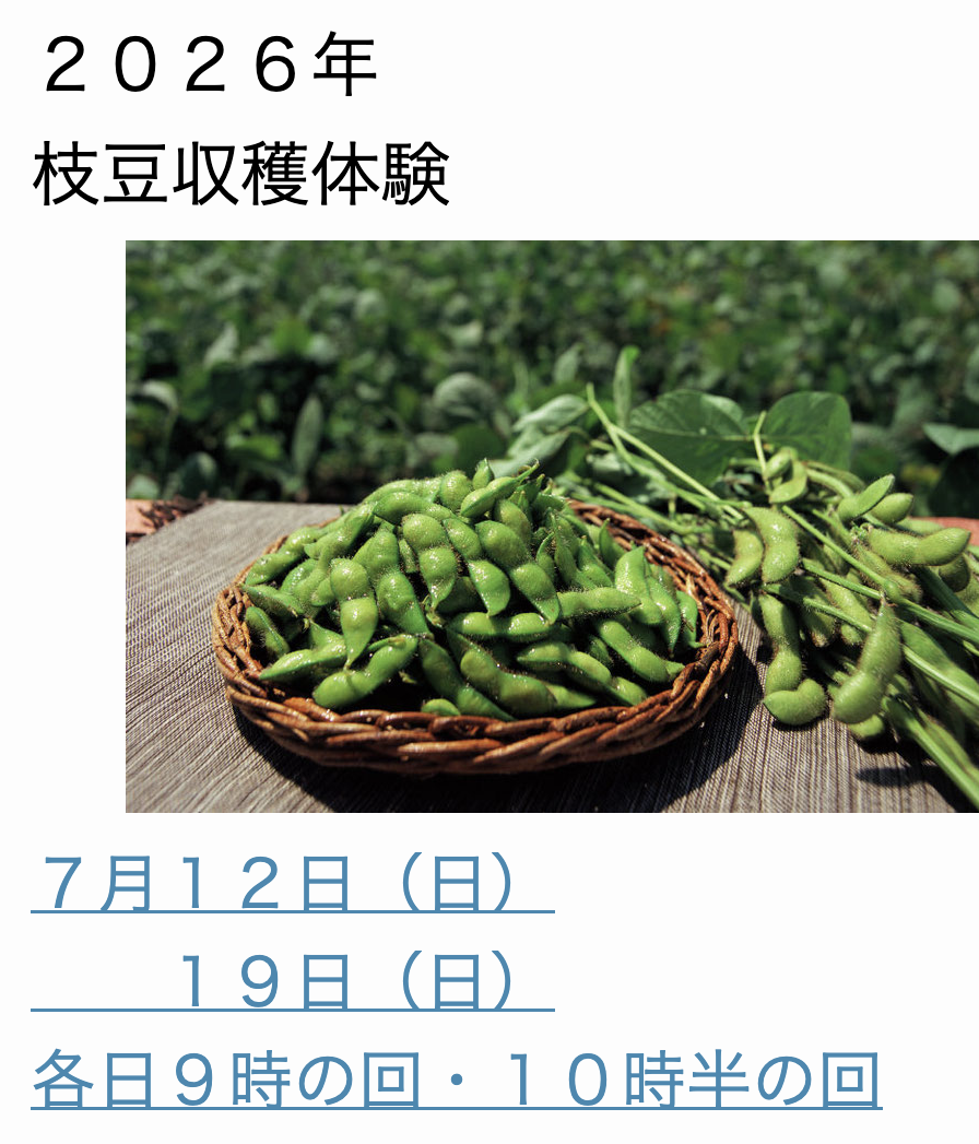 7/12&19「枝豆収穫体験」