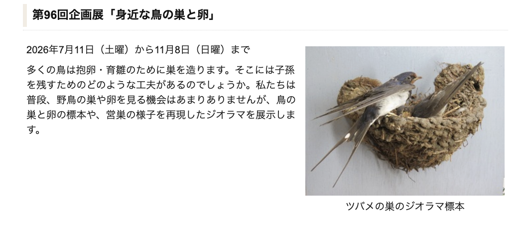 7/11-11/8 企画展示「身近な鳥の巣と卵」
