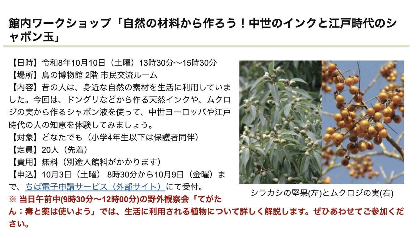 10/10 「館内ワークショップ「自然の材料から作ろう!インクとシャボン玉」