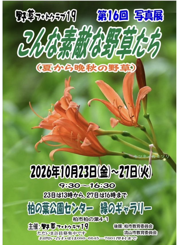 10/23-27 写真展「こんな素敵な野草たち」