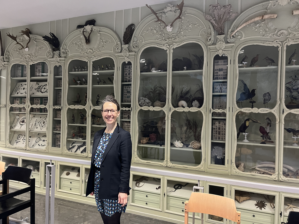 国立自然史博物館中央図書館