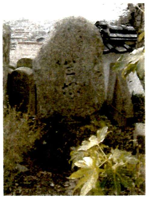 久松寺養寿院（現最勝院）'s image 2