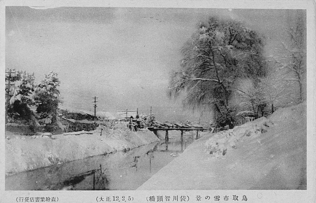 鳥取市雪の景（袋川智頭橋）'s image 1