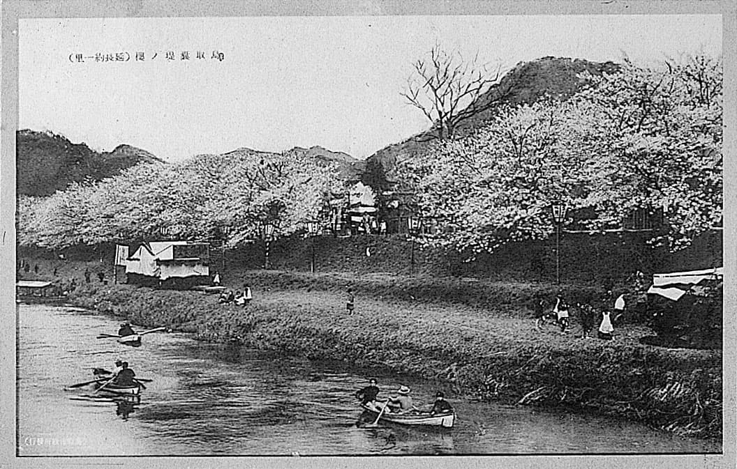 鳥取嚢堤ノ桜（延長約一里）'s image 1