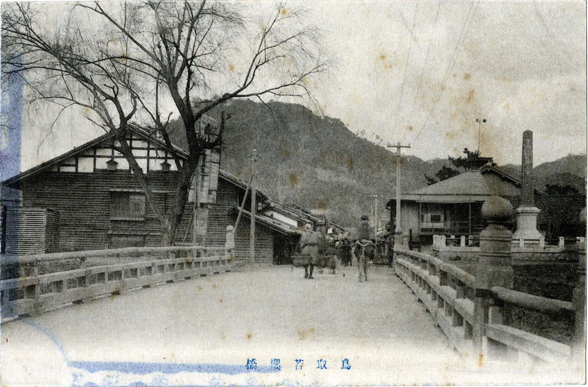 鳥取若桜橋's image 1
