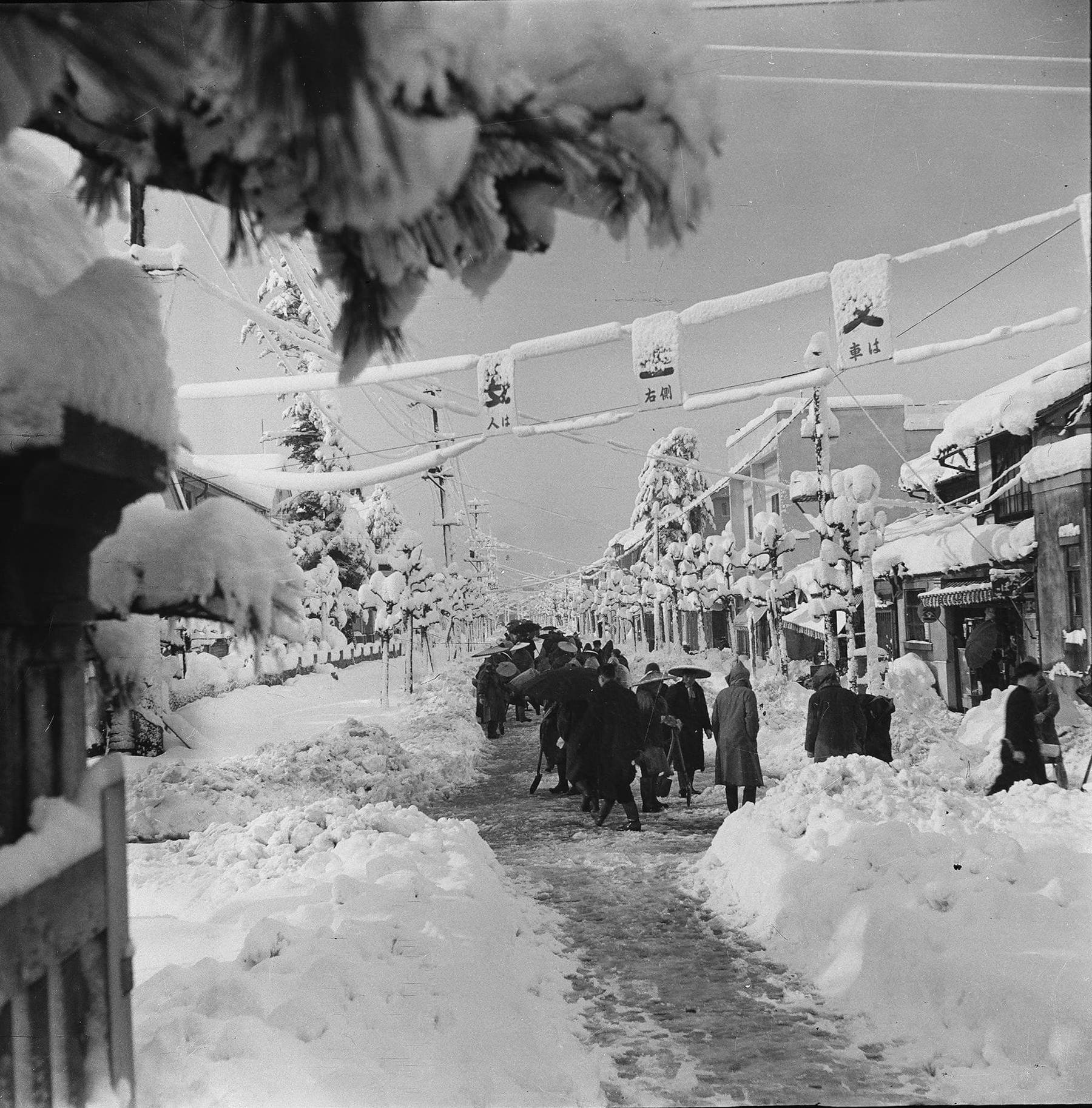 昭和29年の雪害's image 1