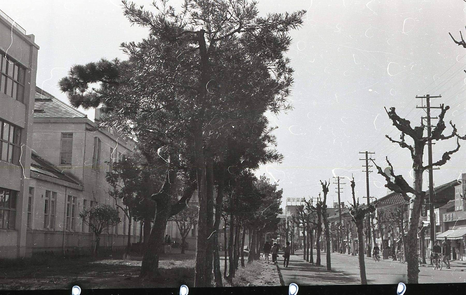 若桜街道's image 1