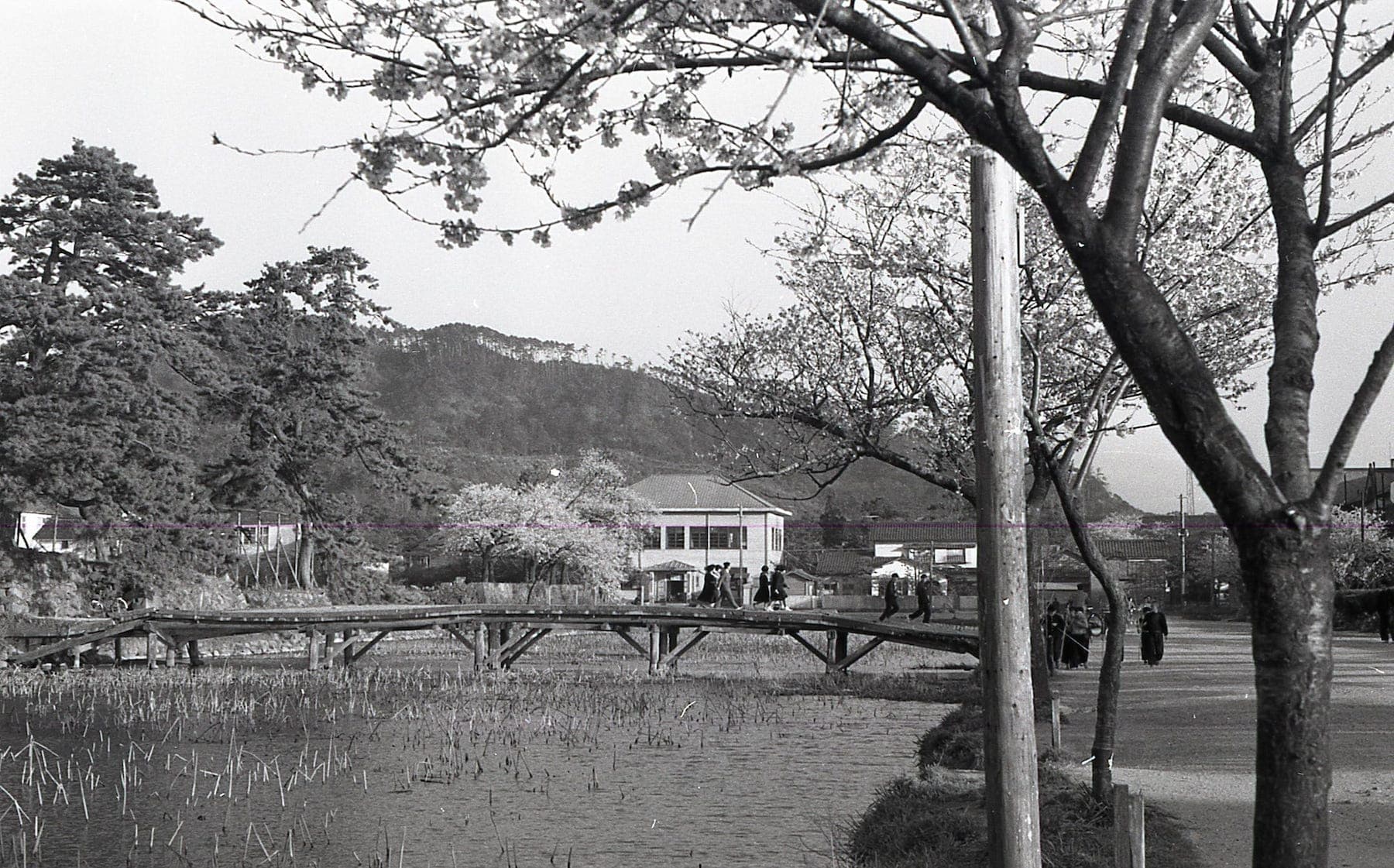 擬宝珠橋's image 1