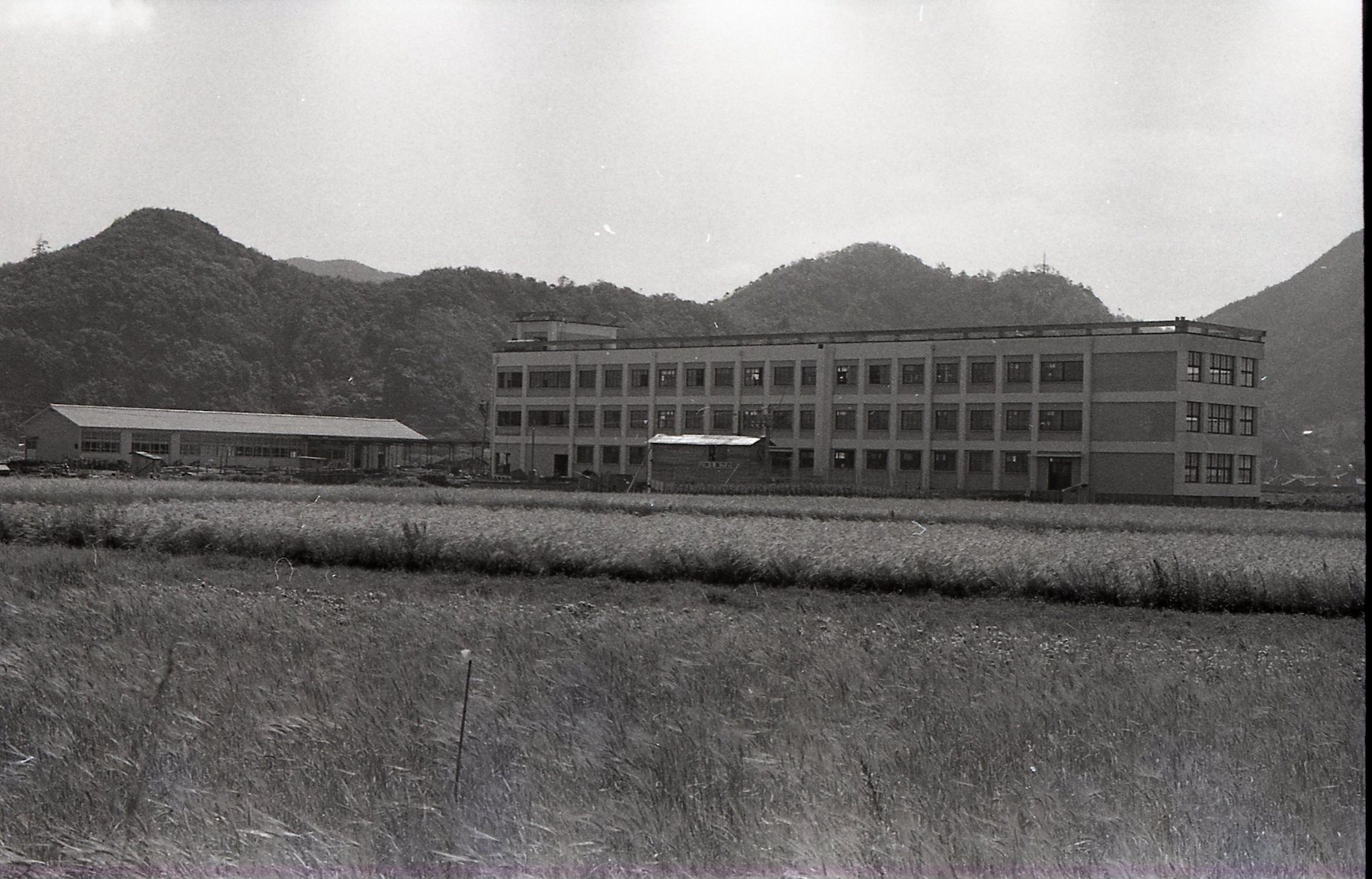 鳥取市立城北小学校's image 2