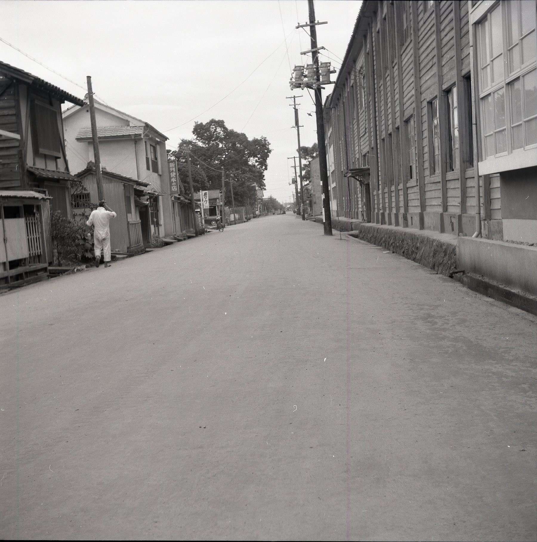 鳥取家政高等学校横の舗装道路's image 1