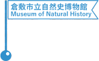 倉敷市立自然史博物館 (旧倉敷市水道局庁舎)／Kurashiki Museum of Natural History (Former City Bureau of Waterworks Building)