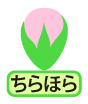 Ninna-ji Temple