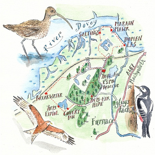 Walking route around Bird Reserve in mid-Wales UK thumbnail