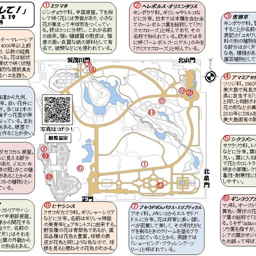 今週の 探して 45号 Stroly