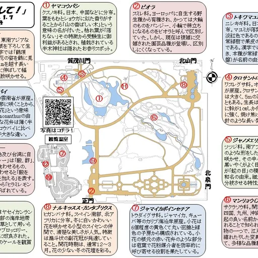 今週の 探して 81号 Stroly ストローリー