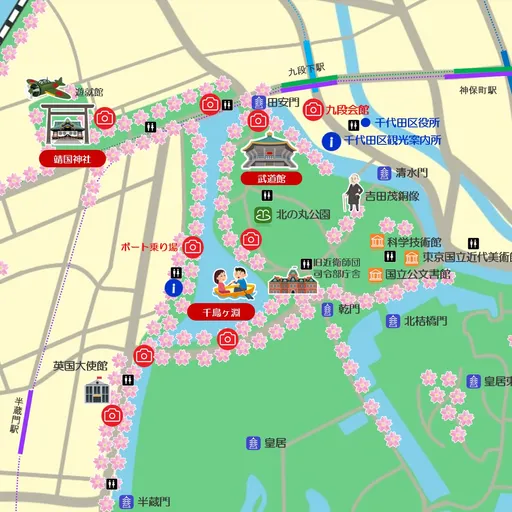 東京観光ガイドが贈る、皇居周辺の桜のおすすめスポット🌸